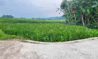tanah datar 150 juta view hamparan sawah mojogedang