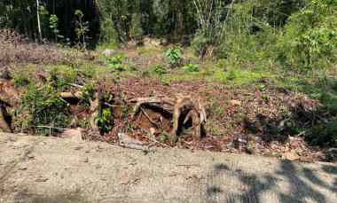 Tanah Dijual di Mojogedang, Karanganyar