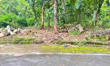 tanah datar 200jt cocok untuk hunian karanganyar