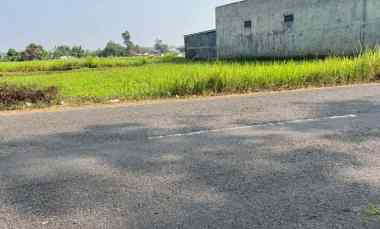 tanah datar 2040m tepi jl raya kedawung sragen