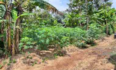 tanah datar 250 juta utara pasar mojogedang