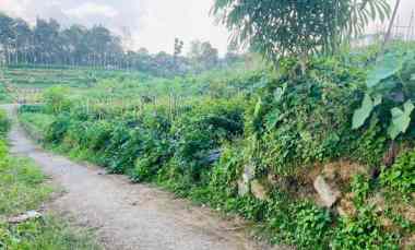 tanah datar 3436m2 timur pasar karangpandan