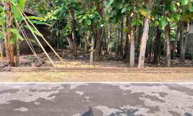 tanah datar 350 juta cocok untuk hunian sragen