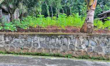 tanah datar 600m cocok dibangun rumah tinggal