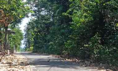 Tanah Datar 824m Kebakkramat Karanganyar