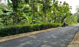 tanah datar bonus kebun jati kerjo karanganyar