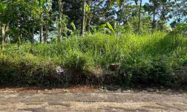 tanah datar hanya 300rb m mojogedang karanganyar