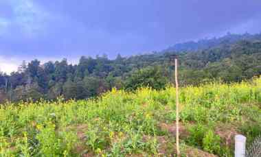 tanah datar kawasan wisata 650m kemuning karanganyar