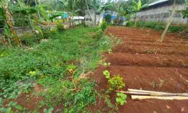 Tanah Datar Kebun Murah Masuk Mobil