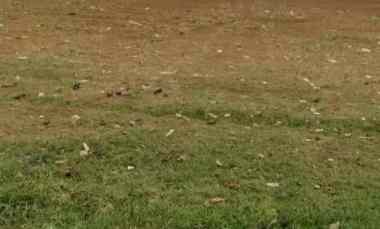 Tanah Datar Siap Bangun