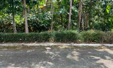 tanah datar utara pasar mojogedang 990m2 strategis