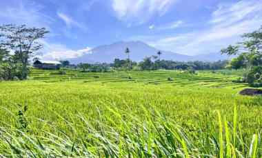 tanah datar view gunung lawu karangpandan karanganyar