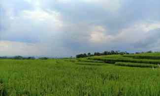 tanah dekat kantor kecamatan kerjo karanganyar