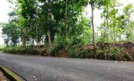 tanah dekat pasar karangpandan