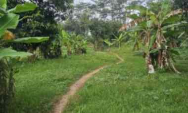 tanah dekat perkotaan luas dan strategis