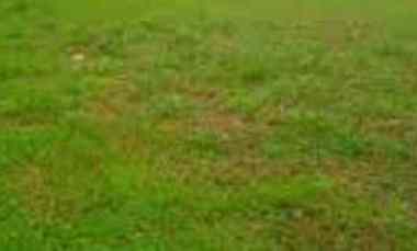 tanah desa bakalan wringinpitu balongbendo sidoarjo