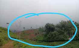 Tanah Dijual di Desa Cipasung Kecamatan Lemahsugih Kab. Majalengka Jawa Barat