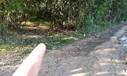 Dijual Tanah Murah di Jasinga-Bogor