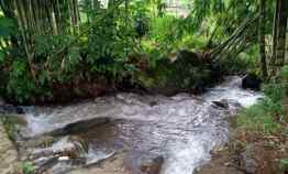 tanah desa wisata alam kemuning