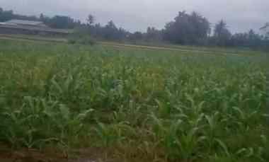 tanah di dekat itera jati agung luas 4400m