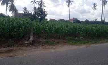 tanah di dekat pintu tol tera jati agung