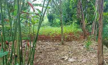 tanah di jalan raya jampang kalisuren bogor