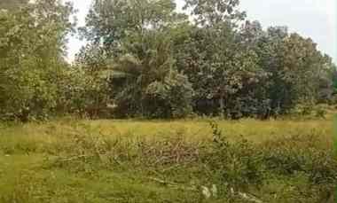 tanah di jati agung dekat itera 12 100m shm