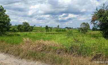 tanah di jatimulyo lampung selatan luas 3760m shm