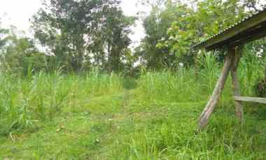 tanah di karang anyar jari agung luas 6200m shm