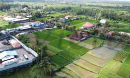 Tanah di Krasan Mambal dekat Ubud