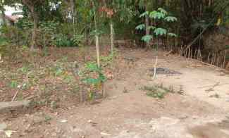 Tanah di Pinang Jaya, Kemiling Luas 208m SHM