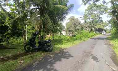 tanah di tabanan bali dekat pantai soka dan balian