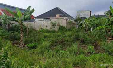 tanah di way kandis luas 300m shm