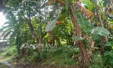 tanah dijual 341m2 mampang depok kusmel