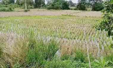 tanah dijual di banjar kalimantan selatan