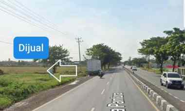 tanah dijual di losarang indramayu