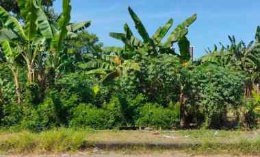 tanah dijual gayungsari surabaya selatan