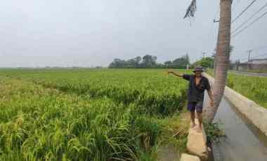 tanah dijual jalan pilang blok migas wonoayu sidoarjo