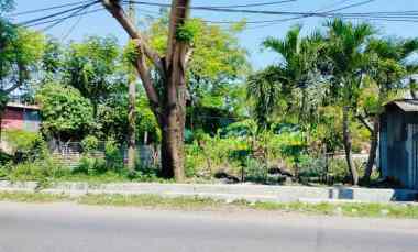 tanah dijual raya jeruk lakarsantri surabaya barat