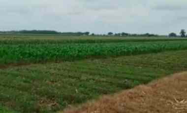 Tanah Dijual di jati seeng