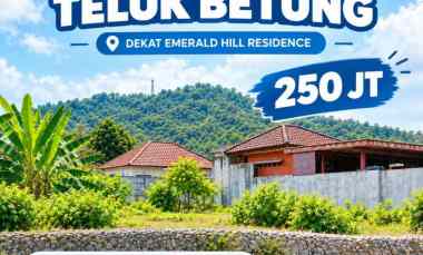 tanah dijual teluk betung b lampung