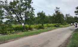 Dijual Lahan Nol Jalan Raya Sukomoro Gondang Nganjuk