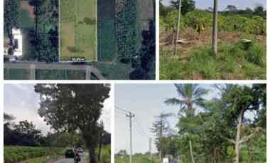 tanah gudang 1 3 ha diboyolali harga 1 2jt m2