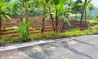 Tanah Hadap Kebun Teh Jembatan Kaca Kemuning