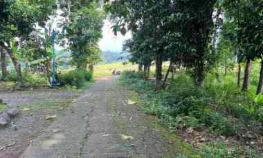 tanah hook istimewa view hamparan sawah karanganyar