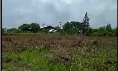 Tanah Industri Kec. Widang Tuban Nol Jalan Raya DND