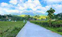 tanah istimewa dekat kebun teh kemuning karanganyar