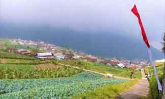 Tanah Istimewa Gondosuli Tawangmangu Karanganyar