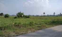 Tanah 8,7 Hektar di Natar, Lampung Selatan Surat SHM
