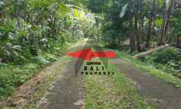 Tanah 1 Hektar Kebun Durian di Mundeh Kauh Tabanan Bali